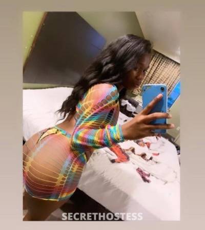 Honeybun 23Yrs Old Escort San Fernando Valley CA Image - 1