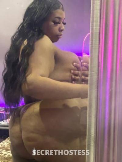 Kaii 26Yrs Old Escort Los Angeles CA Image - 3