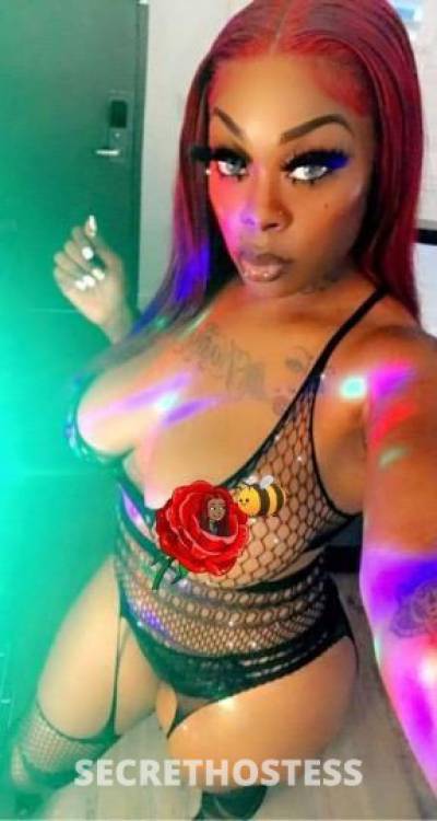 KashEgypt 26Yrs Old Escort Fresno CA Image - 0