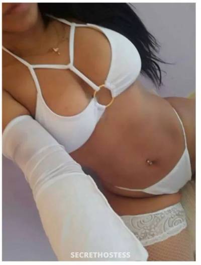 Kate 24Yrs Old Escort Bronx NY Image - 1