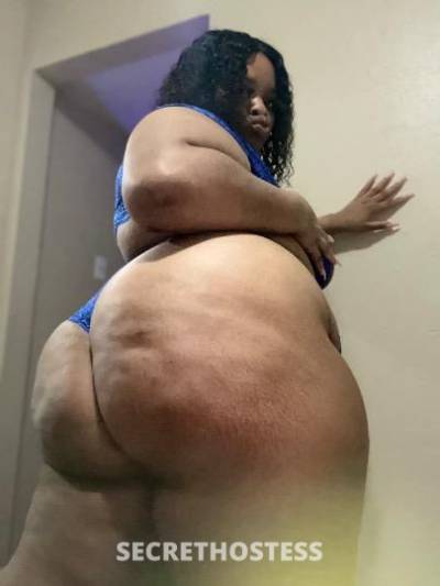 Kiwi🥝 25Yrs Old Escort Houston TX Image - 2