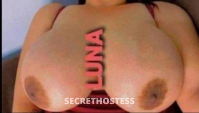 LuNA 25Yrs Old Escort Toronto Image - 1