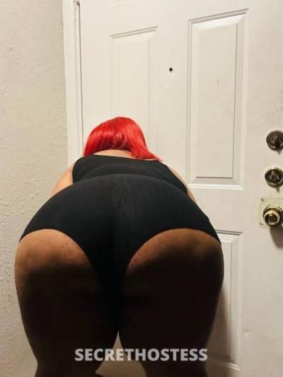 MiaBaby 24Yrs Old Escort Dallas TX Image - 4