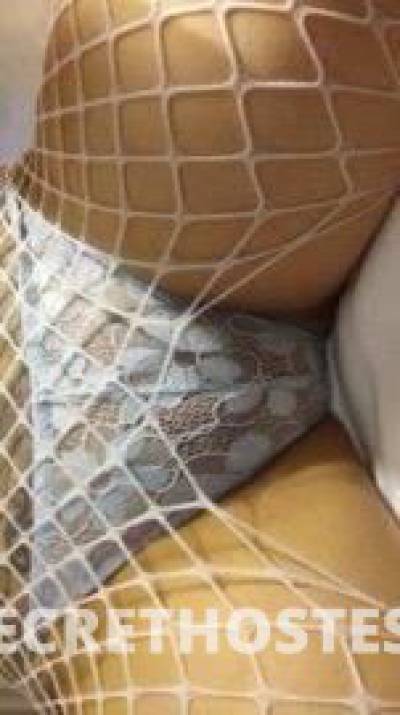 PaytonPlays 27Yrs Old Escort San Jose CA Image - 2