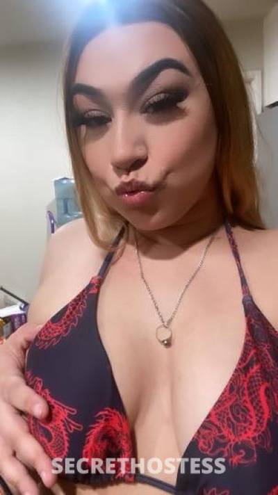 Vanessa 25Yrs Old Escort Modesto CA Image - 5