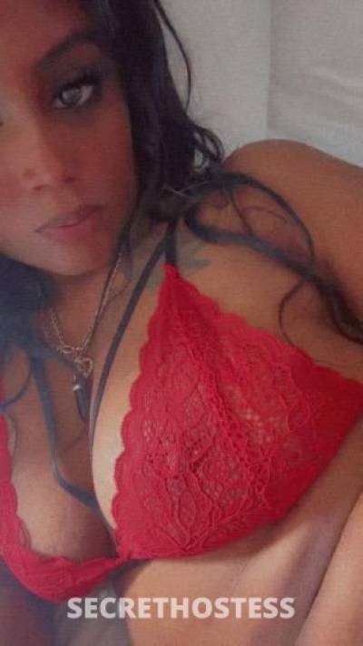 YANI 23Yrs Old Escort Little Rock AR Image - 2