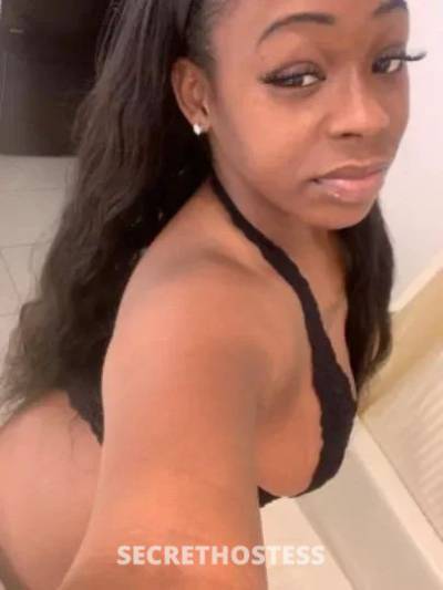  💕Olivia💕 26Yrs Old Escort Twin Tiers NY Image - 1