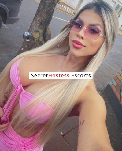 23 Year Old Brazilian Escort Amsterdam Blonde - Image 8