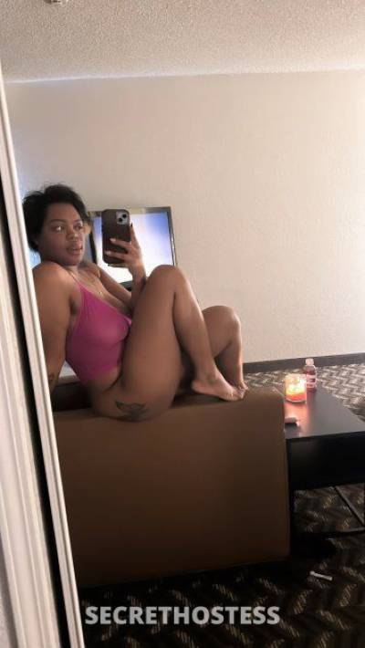 23 year old Caribbean Escort in Tampa FL spoiled rotten southern nympho BBJ DATY CIM GFE PSE