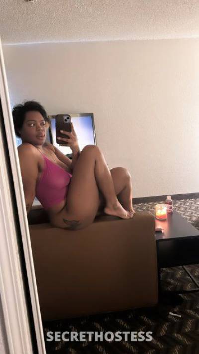 spoiled rotten southern nympho BBJ DATY CIM GFE PSE in Tampa FL