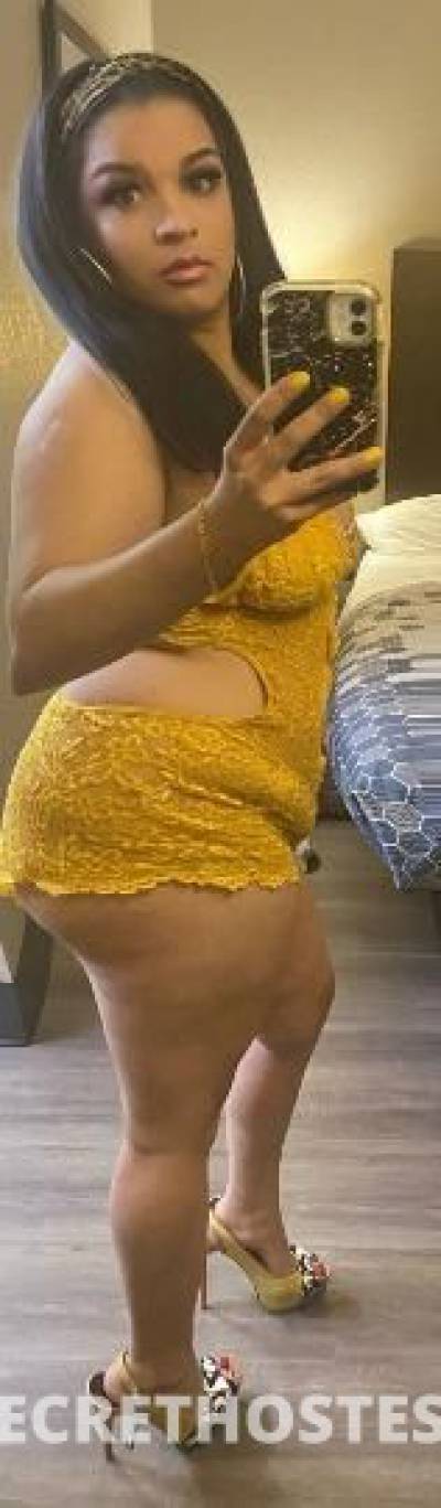 28 year old Dominican Escort in Raleigh NC Night Dominican Queen