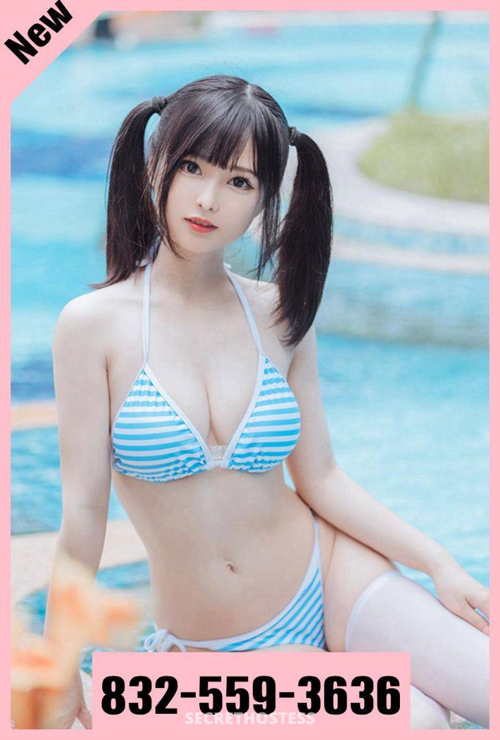 24Yrs Old Asian Escort Houston TX Escorts Houston TX USA