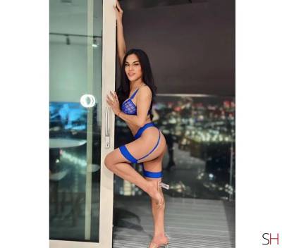 26 year old Asian Escort in Warwickshire Alice Ts .sexy Thai Ladyboy..., Independent