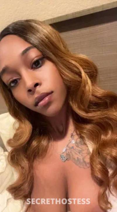 26 year old Escort in El Paso TX xxxx-xxx-xxx Am available for all hole and long fun snap: 