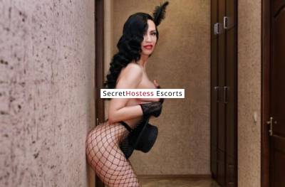 25 Year Old Russian Escort Split - Image 7