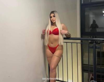 Alice 20Yrs Old Escort Birmingham Image - 6