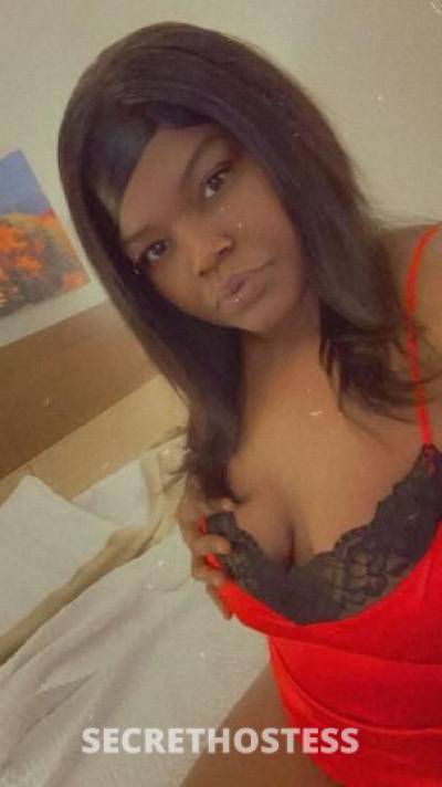 Harmony💕 26Yrs Old Escort Raleigh NC Image - 2