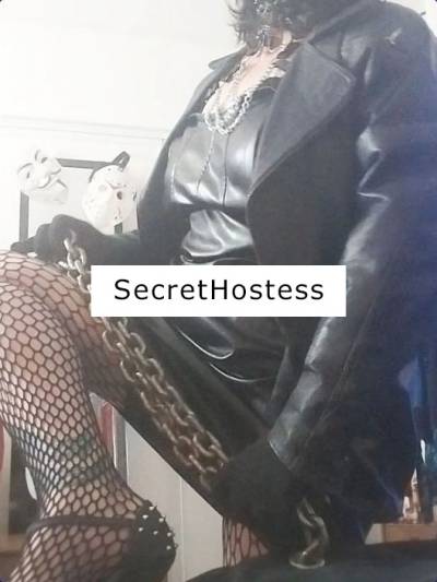 PromiscuousMistress 40Yrs Old Escort Christchurch Image - 1