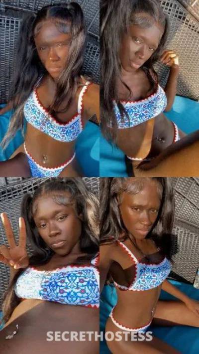 24 year old Escort in Odessa TX Rose 24Yrs Old Escort not set Odessa TX