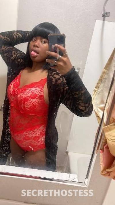 20Yrs Old Escort Los Angeles CA Image - 0