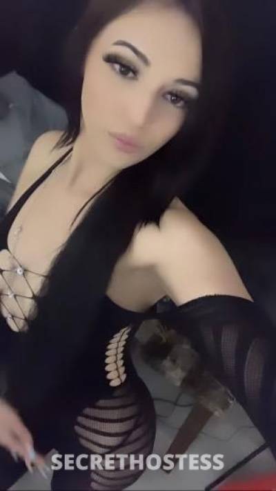 21Yrs Old Escort Sacramento CA Image - 2