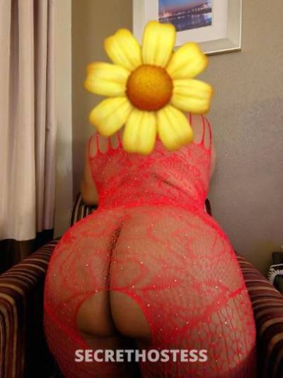 23Yrs Old Escort Los Angeles CA Image - 1