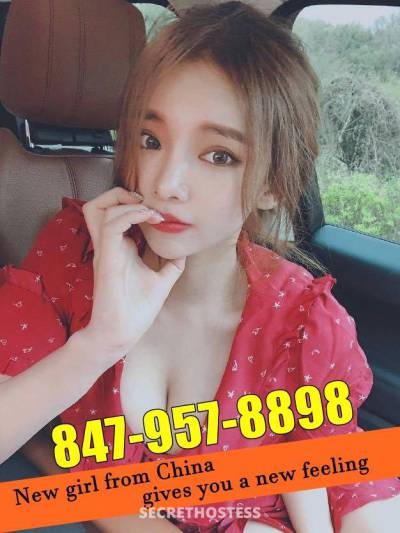 24 Year Old Chinese Escort Chicago IL - Image 4