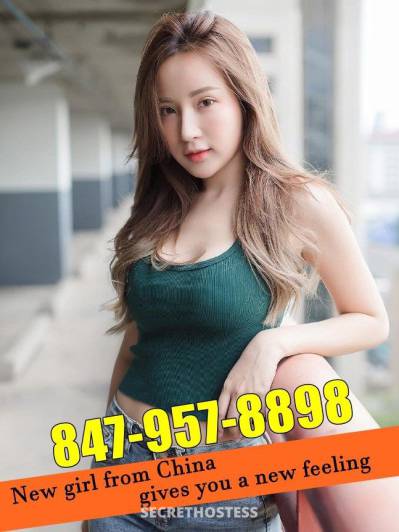 24 Year Old Chinese Escort Chicago IL - Image 5