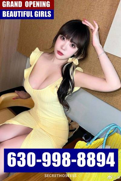 24 Year Old Chinese Escort Chicago IL - Image 2