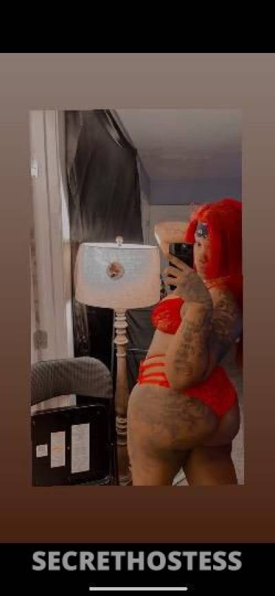 24Yrs Old Escort Los Angeles CA Image - 1