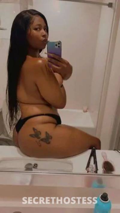 27Yrs Old Escort North Bay CA Image - 3