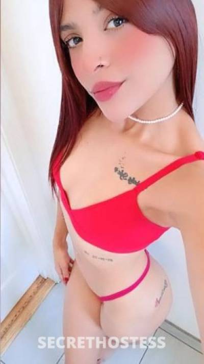 Bebe 24Yrs Old Escort Orlando FL Image - 1