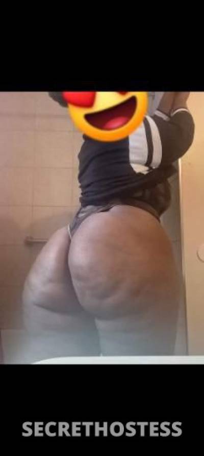 Bri 24Yrs Old Escort Detroit MI Image - 4