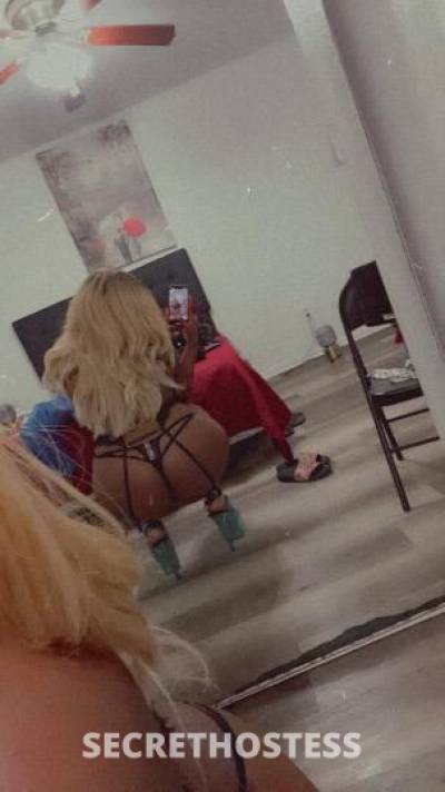 Bunnii 24Yrs Old Escort San Diego CA Image - 2