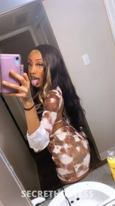 Cookie 21Yrs Old Escort Phoenix AZ Image - 8