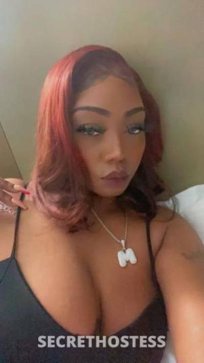 Jazzy 29Yrs Old Escort North Mississippi MS Image - 3