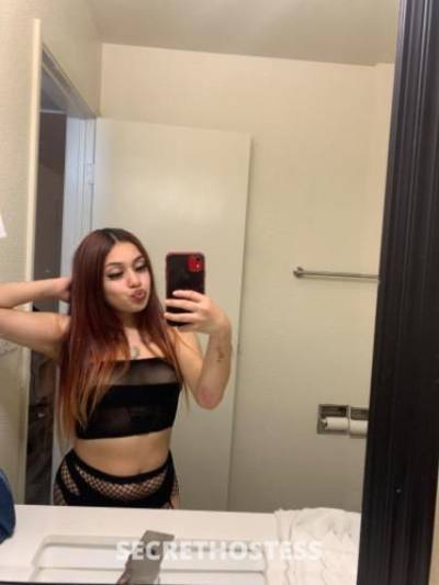 Kim 21Yrs Old Escort Stockton CA Image - 1