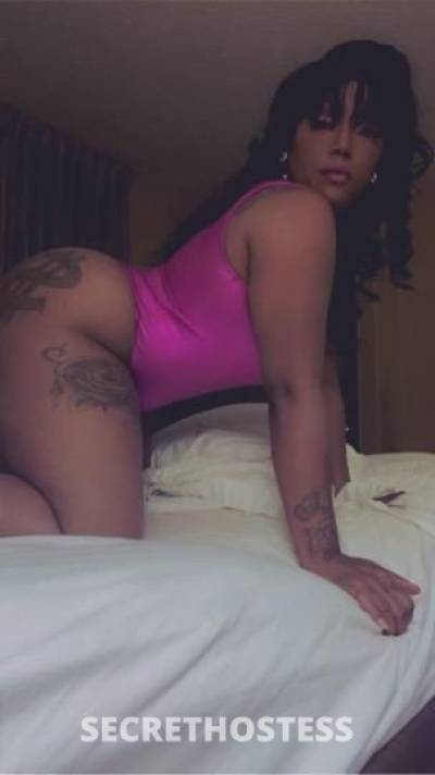 Leslie 26Yrs Old Escort Hartford CT Image - 4