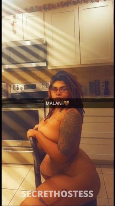 Malanii 27Yrs Old Escort Beaumont TX Image - 8