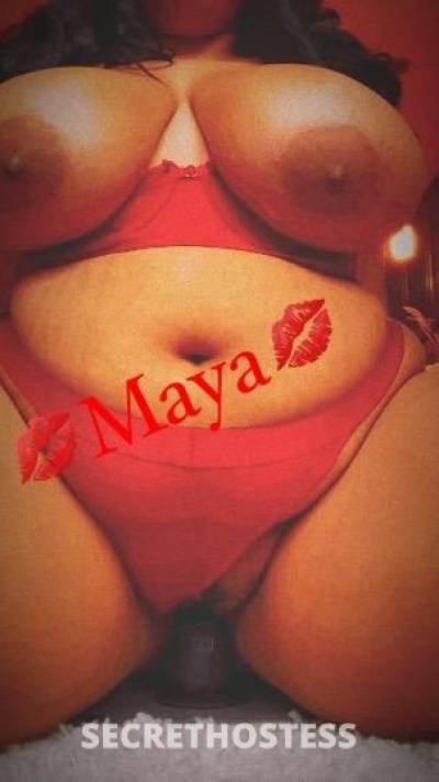 Maya 25Yrs Old Escort Oakland CA Image - 4