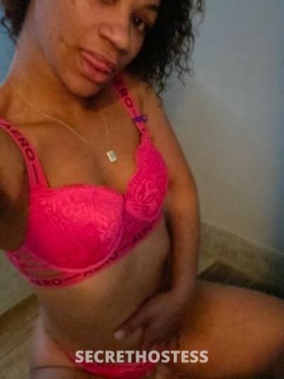 Miami 29Yrs Old Escort Panama City FL Image - 0