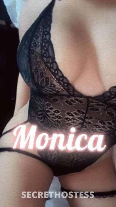 Monica 27Yrs Old Escort New Haven CT Image - 2