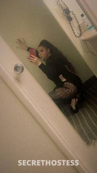 Nova 23Yrs Old Escort Oakland CA Image - 0