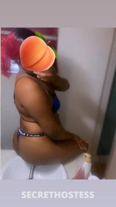 Passion🍫🍫🍑 26Yrs Old Escort Tampa FL Image - 2