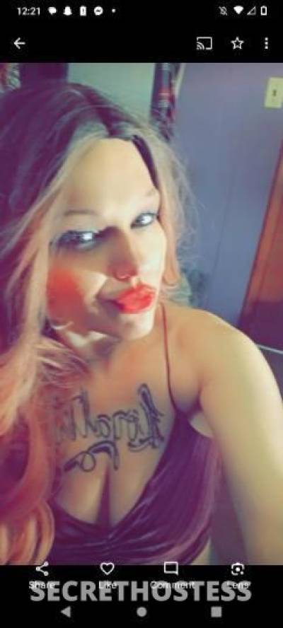 Piper 24Yrs Old Escort Pittsburgh PA Image - 0