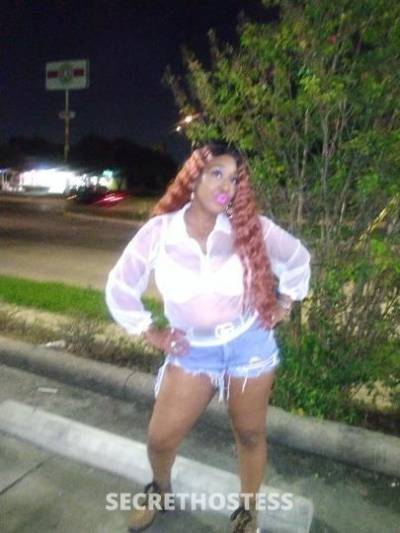 STARLETE 40Yrs Old Escort Houston TX Image - 2