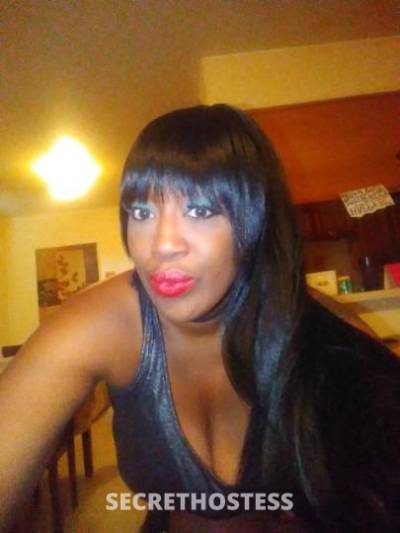 STARLETE 40Yrs Old Escort Houston TX Image - 9