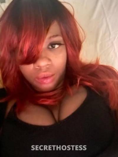 Star 23Yrs Old Escort Norfolk VA Image - 2