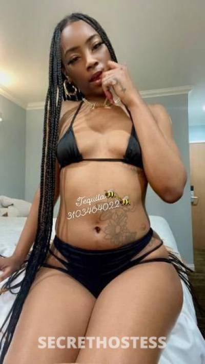 Tequila💦MissDesirable💦 23Yrs Old Escort Los Angeles CA Image - 7