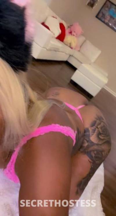 miky 24Yrs Old Escort Virginia Beach VA Image - 2